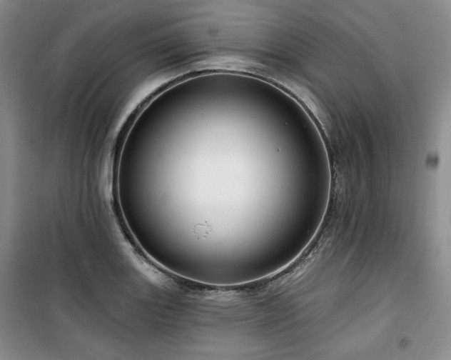X0000100371131200806061149