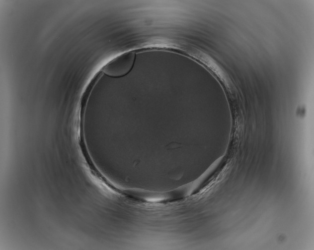 X0000100371132200806061149
