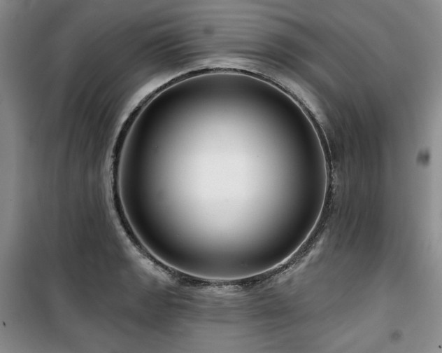 X0000100371133200806061149