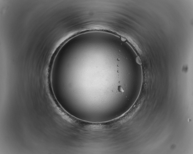 X0000100371134200806061149