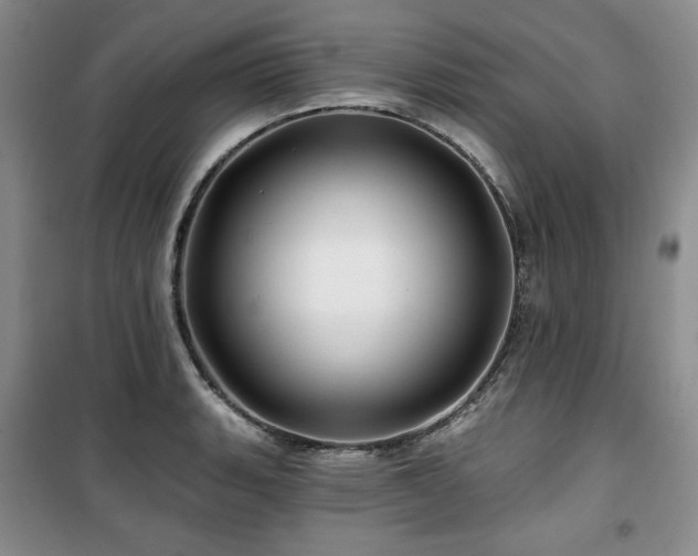 X0000100371135200806061150