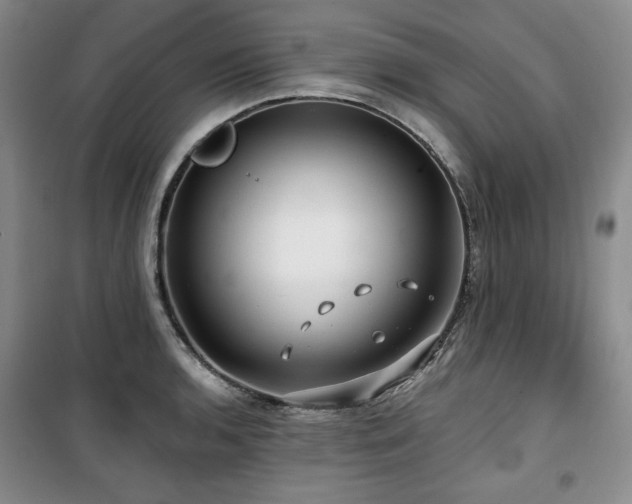 X0000100371136200806061150
