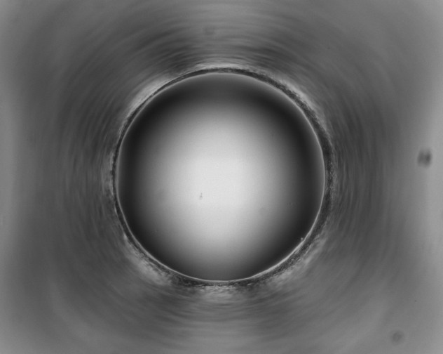 X0000100371137200806061150
