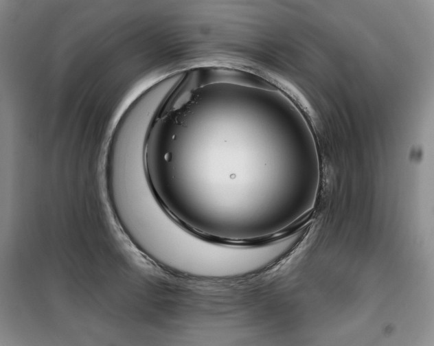X0000100371138200806061150
