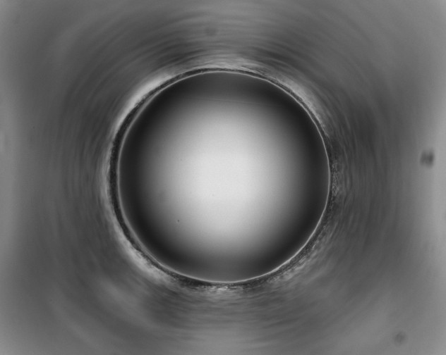 X0000100371139200806061150