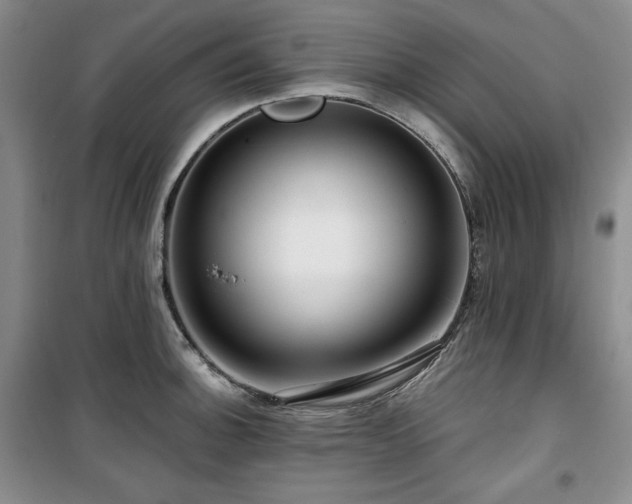 X0000100371140200806061150