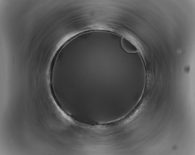 X0000100371141200806061150