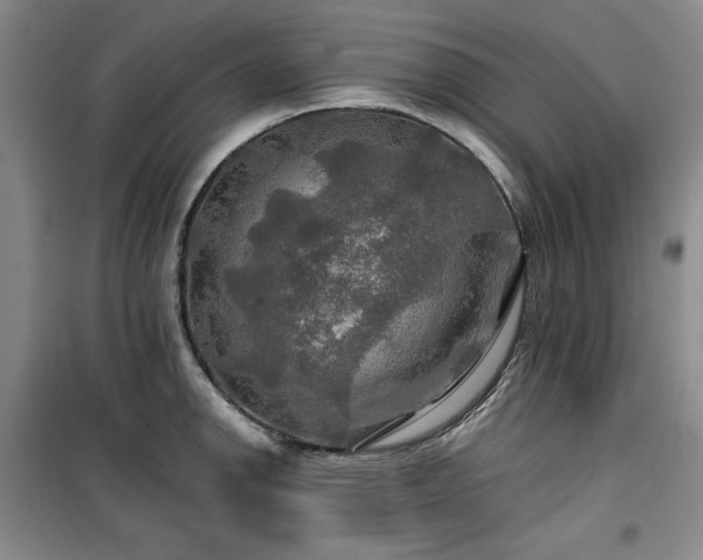 X0000100371142200806061150