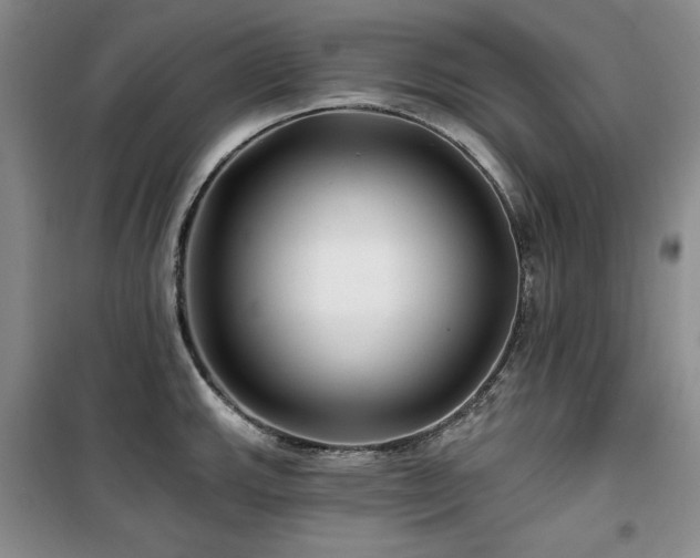 X0000100371143200806061150
