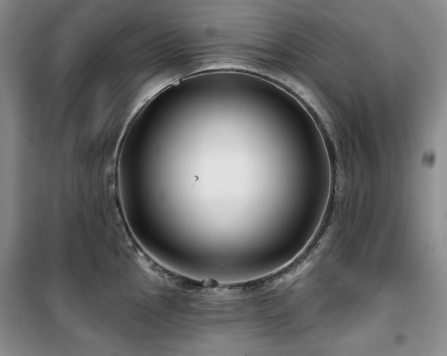 X0000100371145200806061150