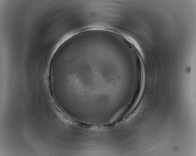 X0000100371146200806061150