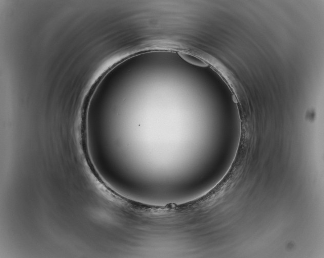 X0000100371147200806061150