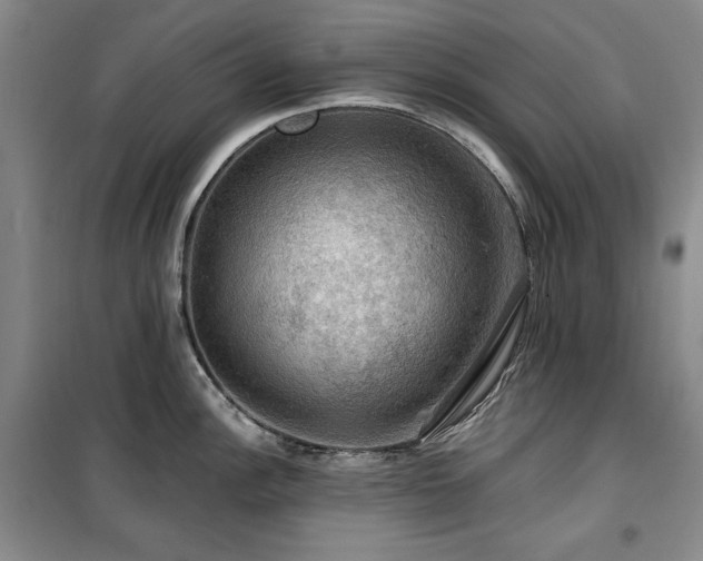 X0000100371148200806061150