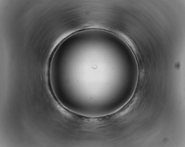 X0000100371149200806061150