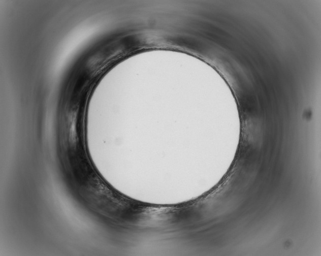 X0000100371150200806061150