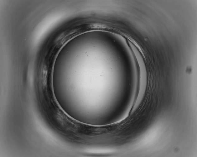 X0000100371151200806061150