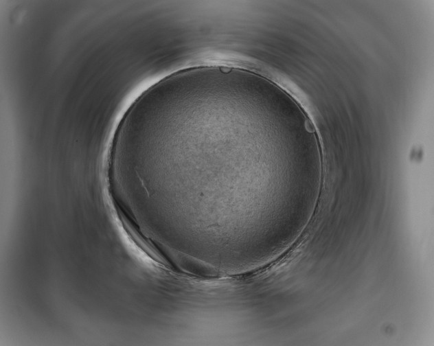 X0000100371152200806061150