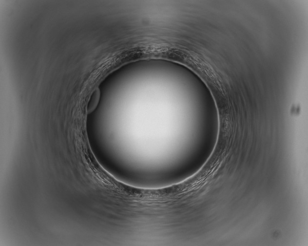 X0000100371153200806061149