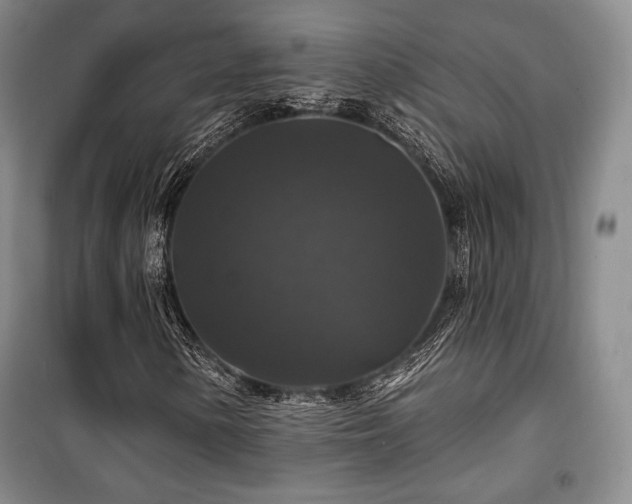 X0000100371154200806061149