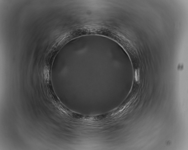 X0000100371155200806061149