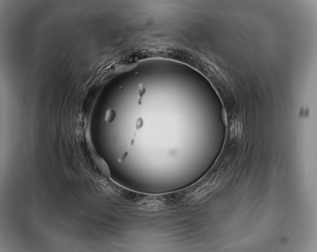 X0000100371156200806061149