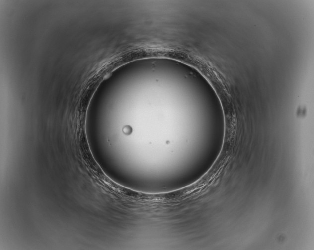 X0000100371157200806061149
