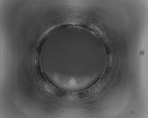 X0000100371158200806061149