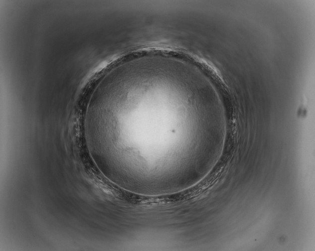 X0000100371159200806061149