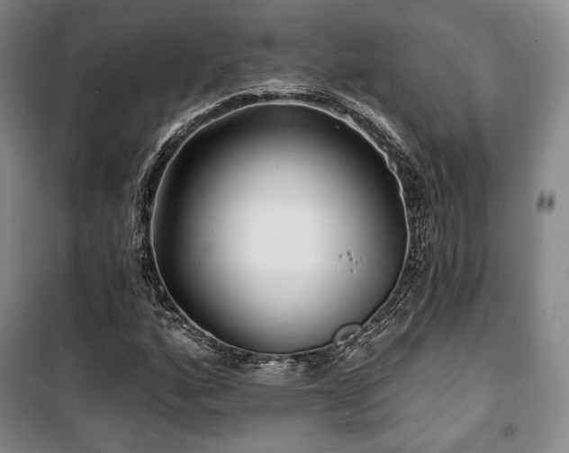 X0000100371160200806061149