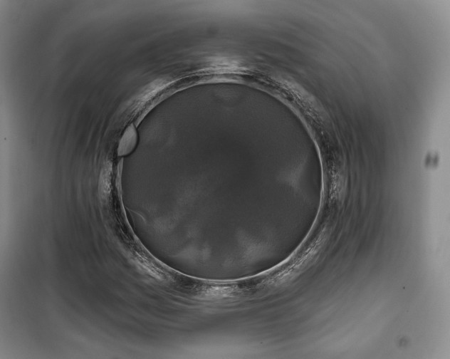 X0000100371161200806061149