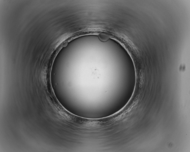X0000100371162200806061149