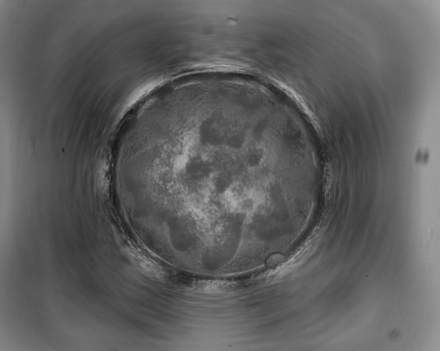 X0000100371163200806061149