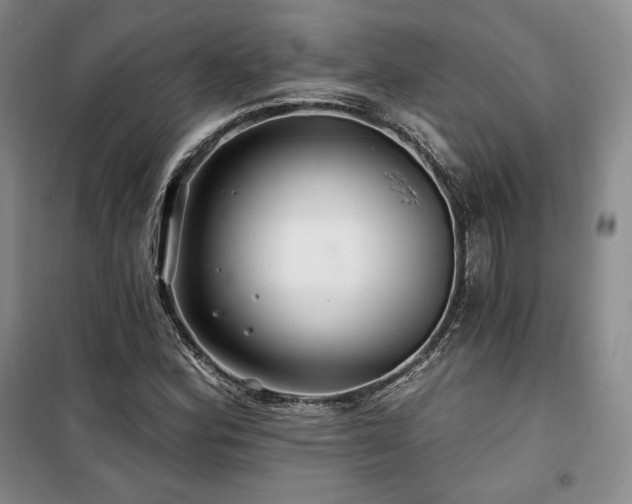 X0000100371164200806061149