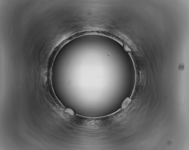 X0000100371165200806061149