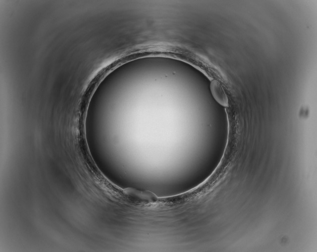 X0000100371166200806061149