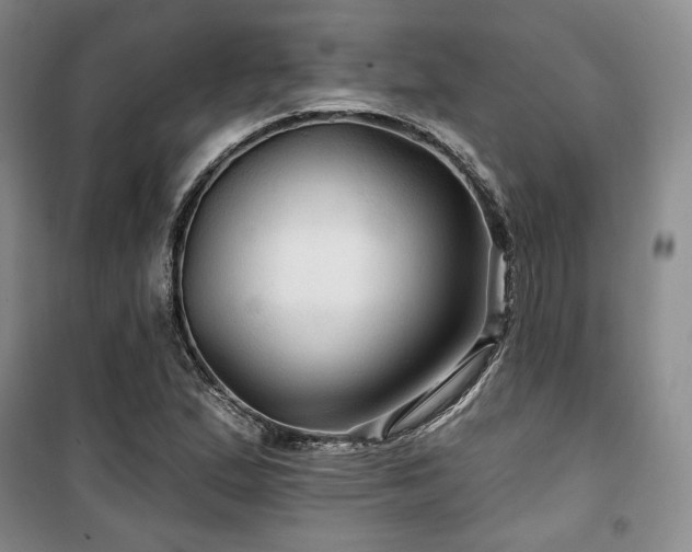 X0000100371167200806061149