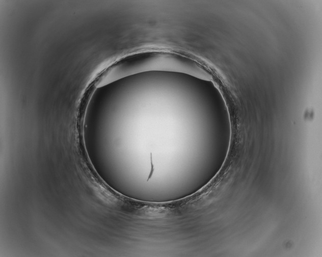 X0000100371168200806061149
