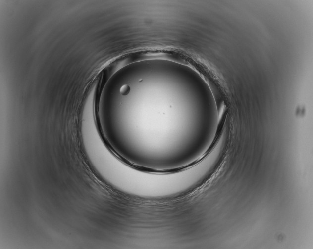 X0000100371169200806061149