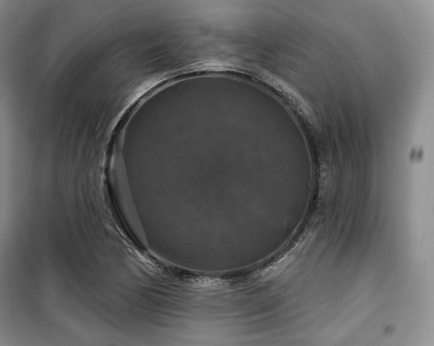 X0000100371170200806061149