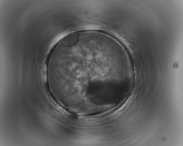 X0000100371171200806061149