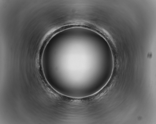 X0000100371172200806061149