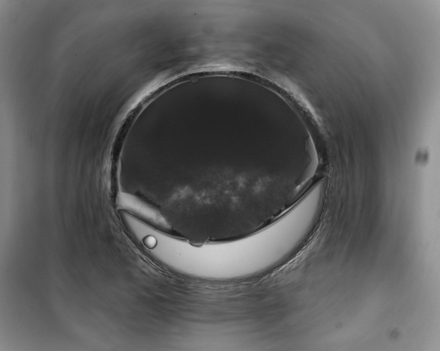 X0000100371173200806061149