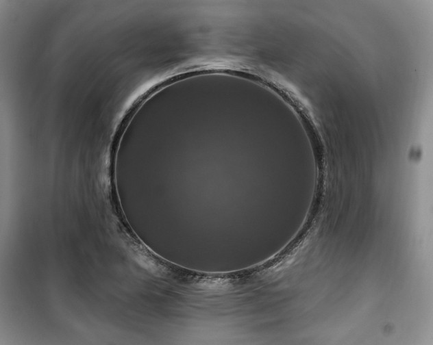 X0000100371174200806061149