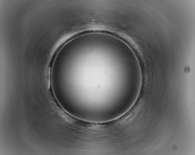 X0000100371175200806061149