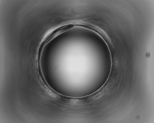 X0000100371176200806061149