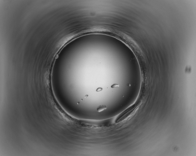 X0000100371177200806061149