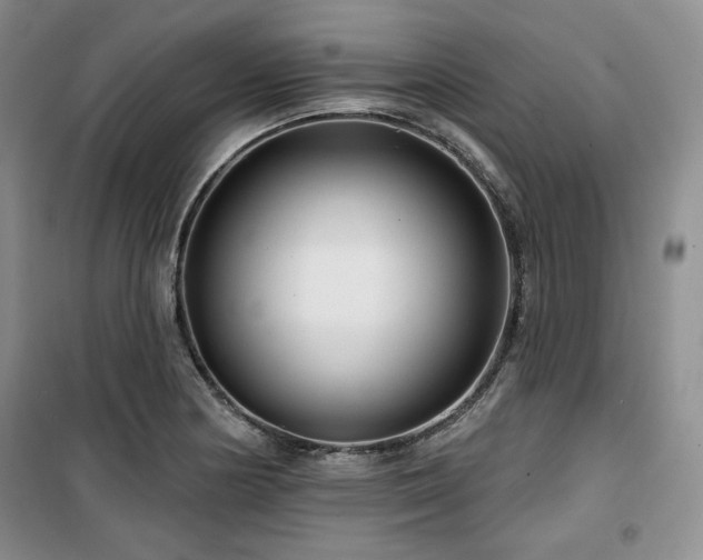 X0000100371178200806061149