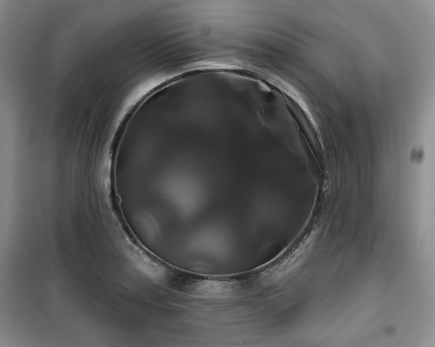 X0000100371179200806061149