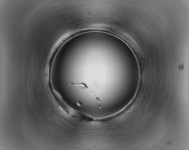X0000100371180200806061148
