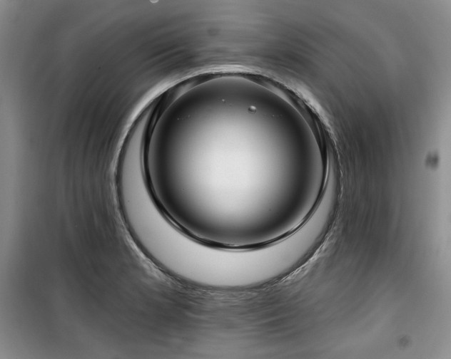 X0000100371181200806061148